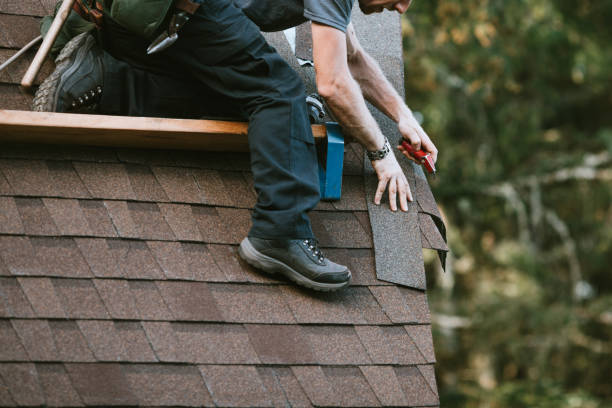 Best Roof Gutter Cleaning  in Sierra View, PA